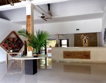 Kelapa