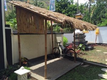Kelapa Amed (Bali)