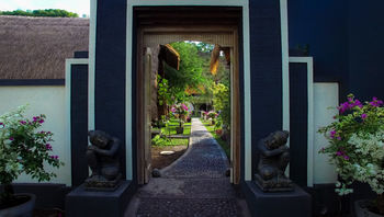 Kelapa Amed (Bali)