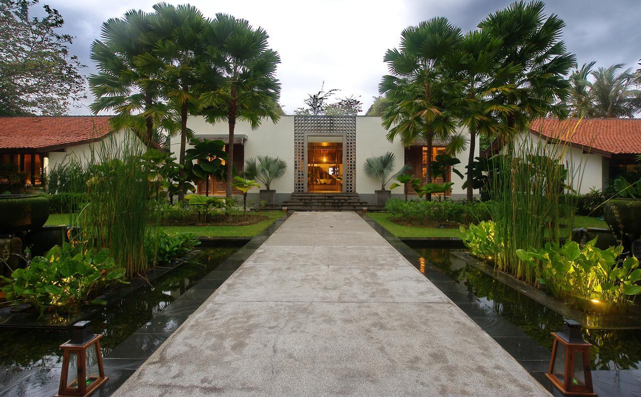 Jeeva Bali Saba