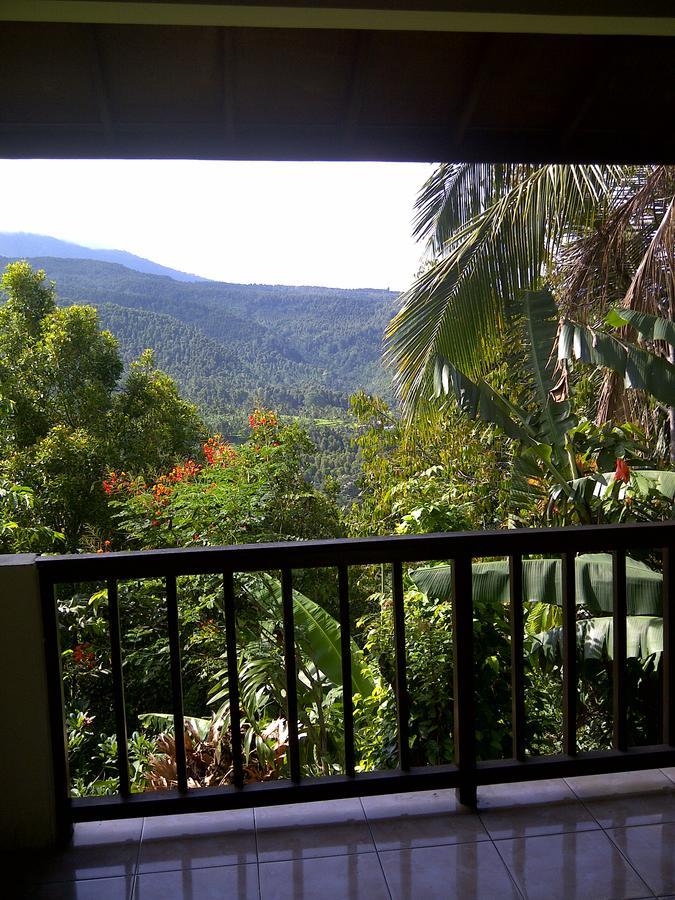 Guest house Made Homestay Munduk