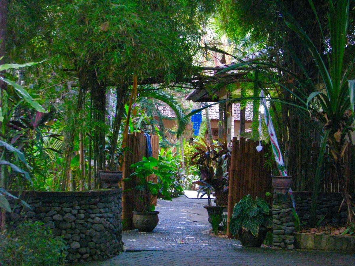 Selina Resort Tejakula