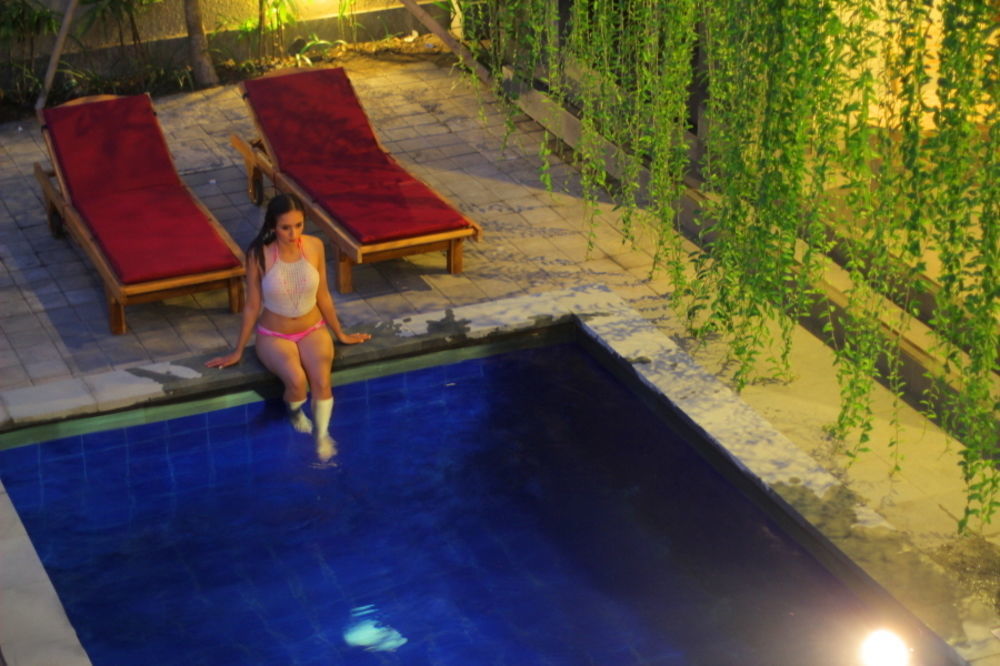 Hotel Vansari