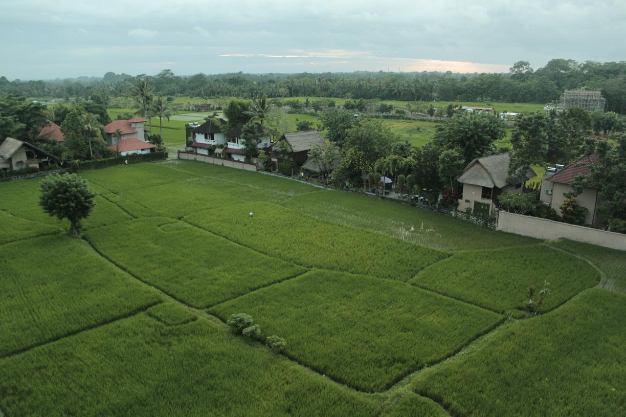 Resort The Evitel Ubud (Bali)
