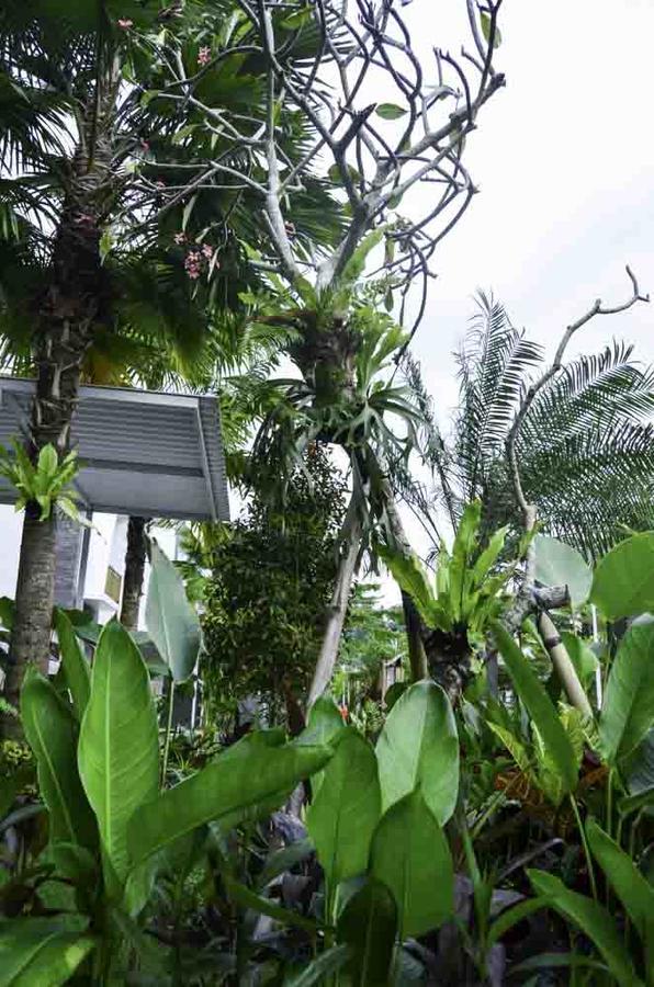 Guest house Beluran Serene