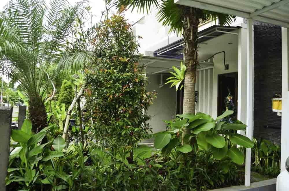 Beluran Serene 3*
