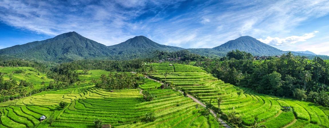 Beluran Serene Guest house 3*
