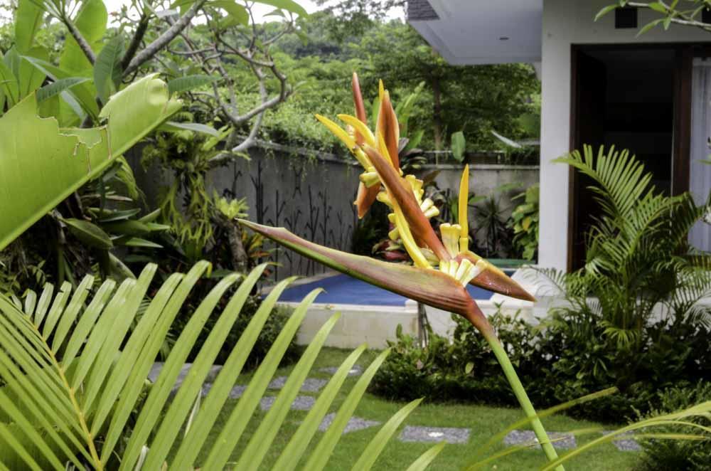 Beluran Serene 3*