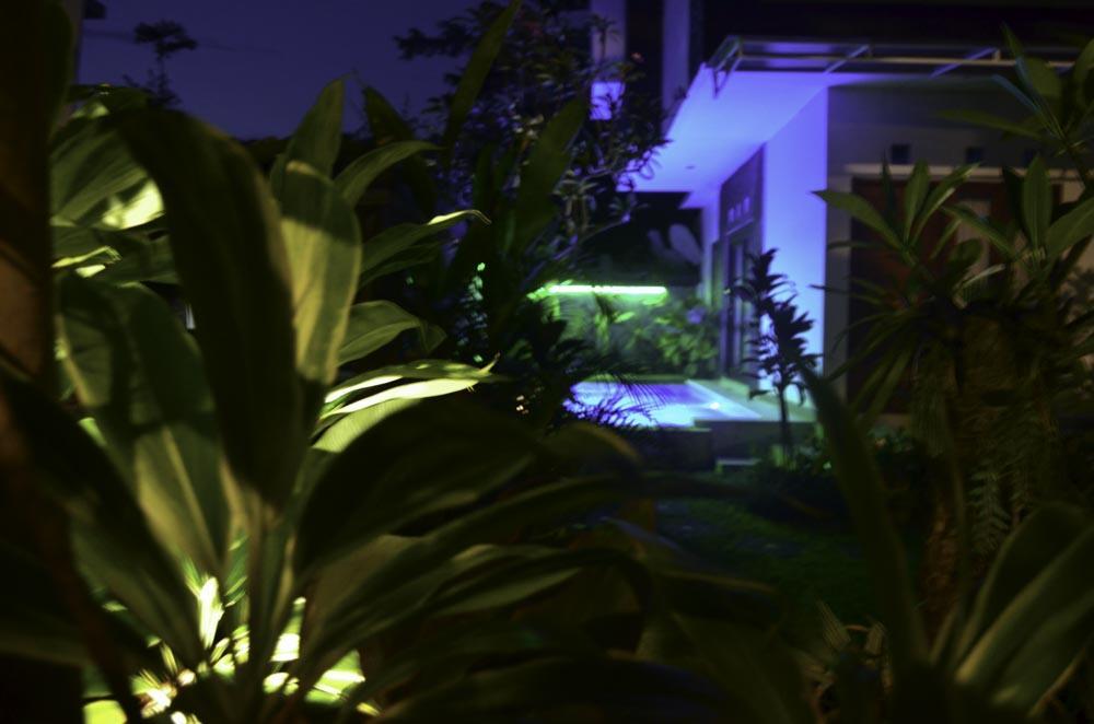 Beluran Serene Guest house Tabanan (Bali)
