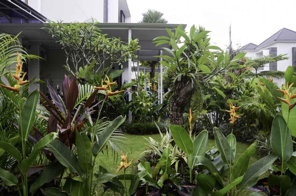 Beluran Serene Tabanan (Bali)
