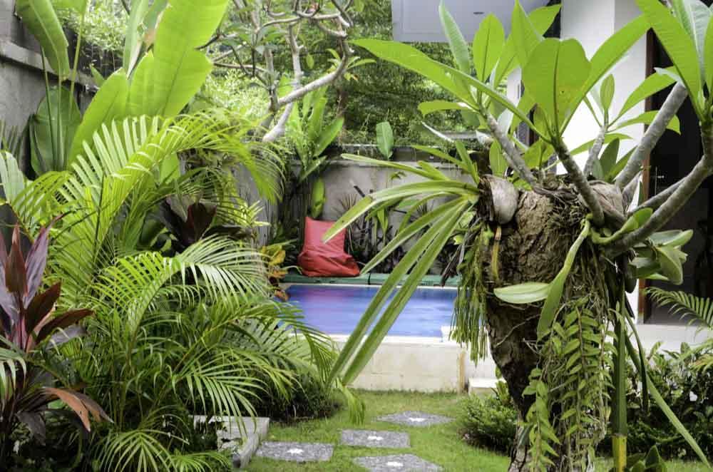 Guest house Beluran Serene