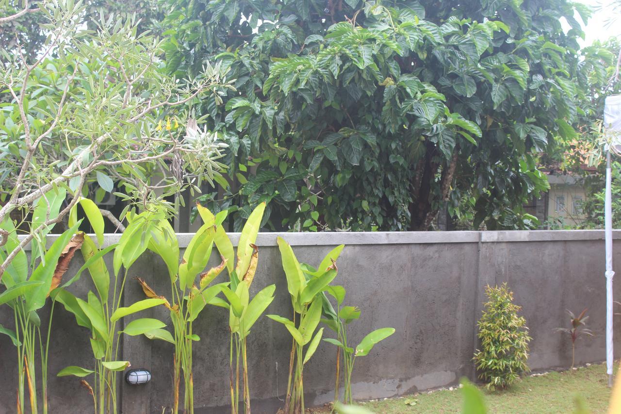 Adi Bali 2*
