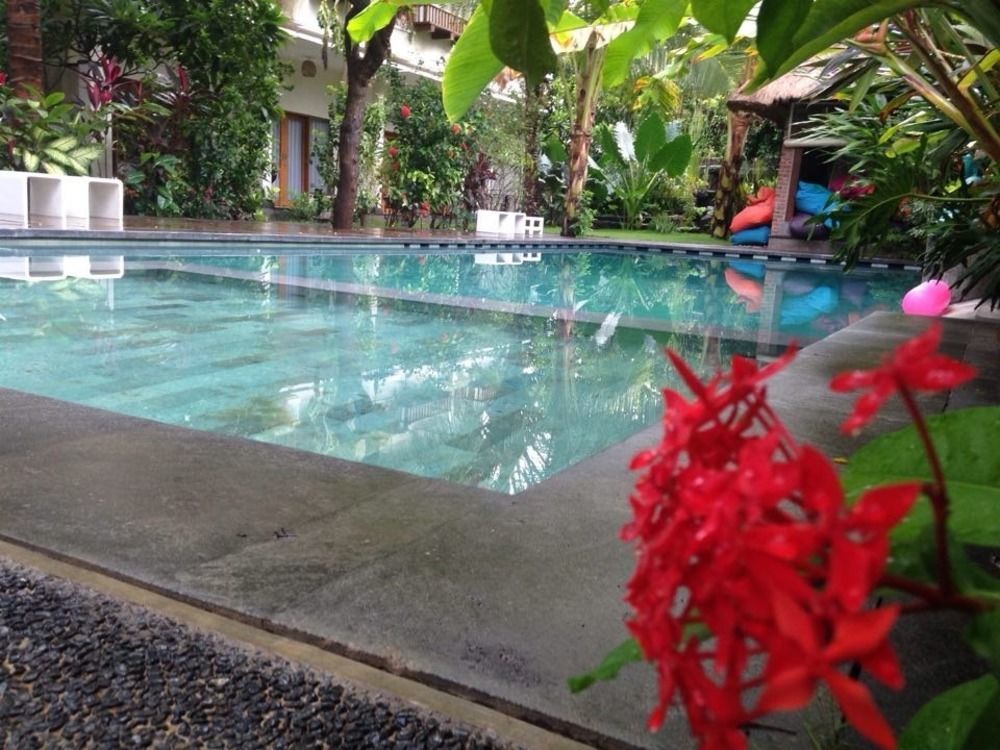 Guest house Arjuna 3*