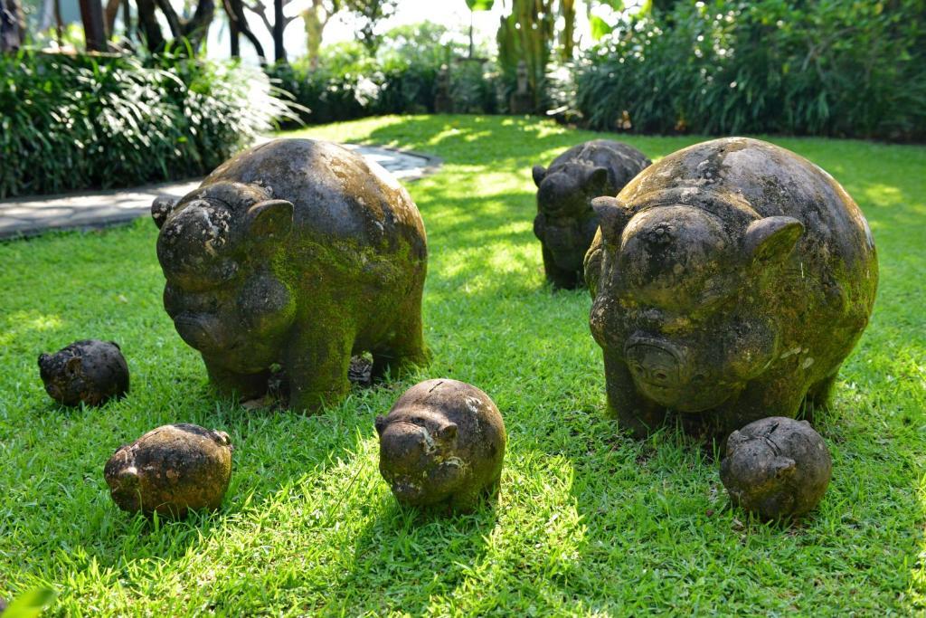 The Damai Lovina (Bali)
