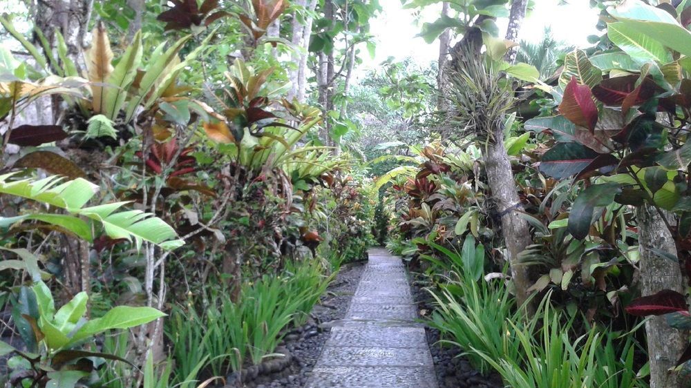 Hotel Pisces Balian 2*