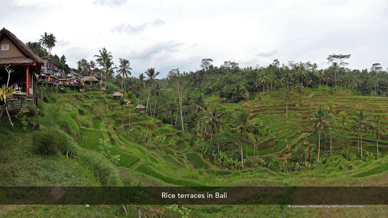 The Seminyak Village