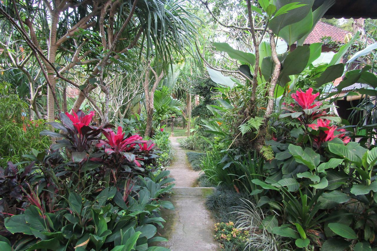 Guest house Recep