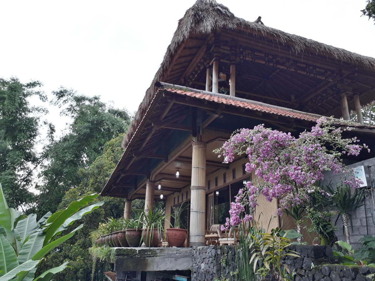 Don Biyu Munduk (Bali)
