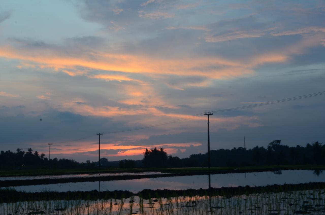 Beluran Serene