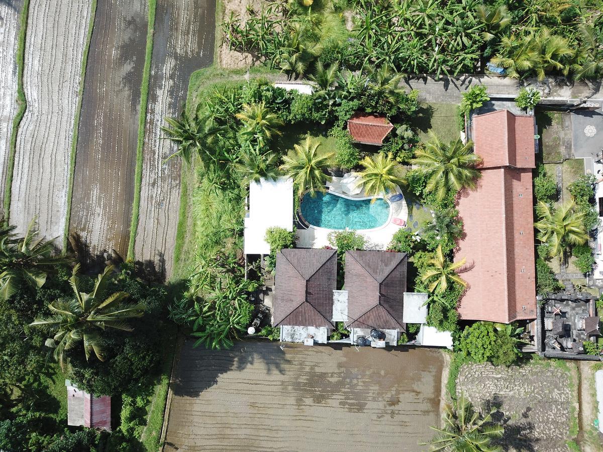 Guest house Baliwid Ubud (Bali)