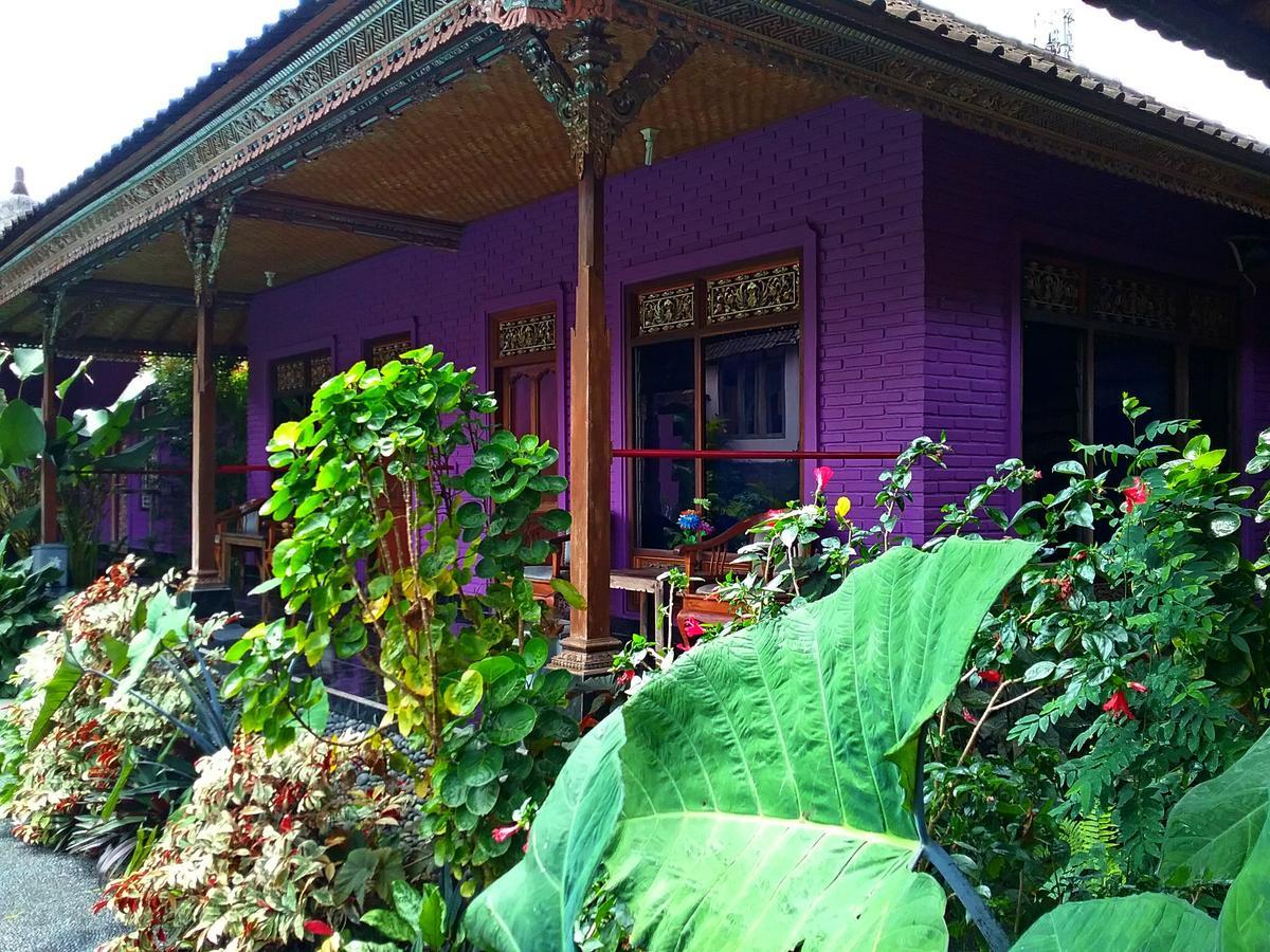 Rona Guest house 2*
