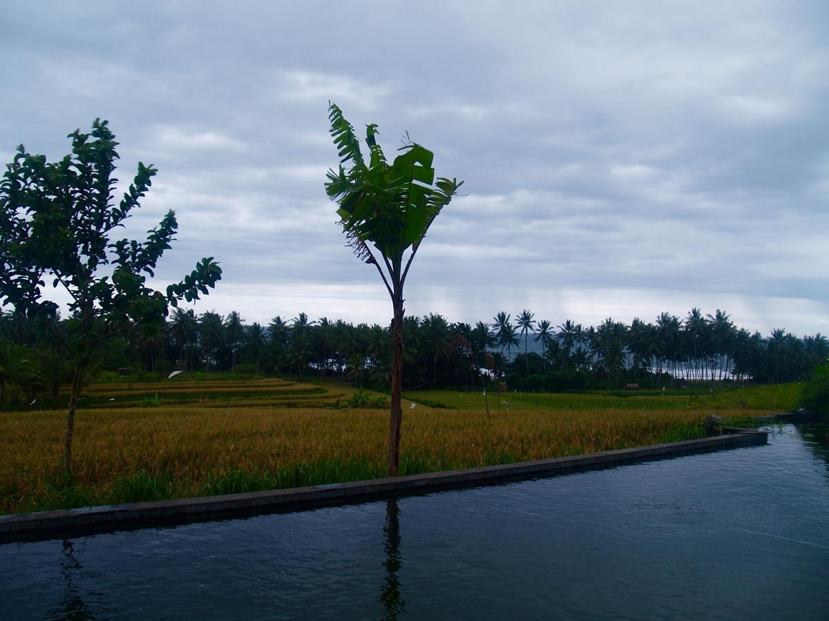 Bali Eco Matekap Villa