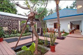 Oasis Guest house 3*