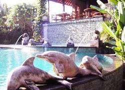 Wisma tamu Sonia Ubud (Bali)