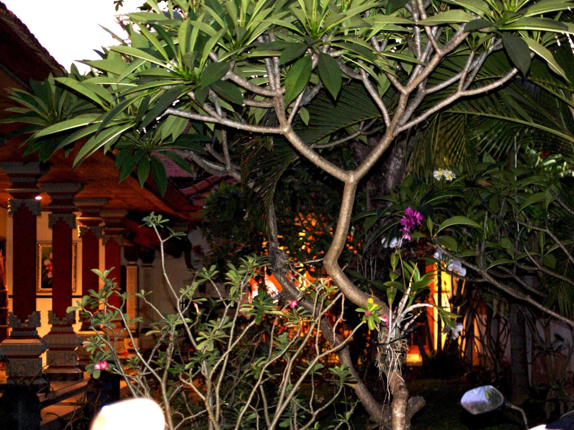 Hasan Guest house Nusa Dua (Bali)