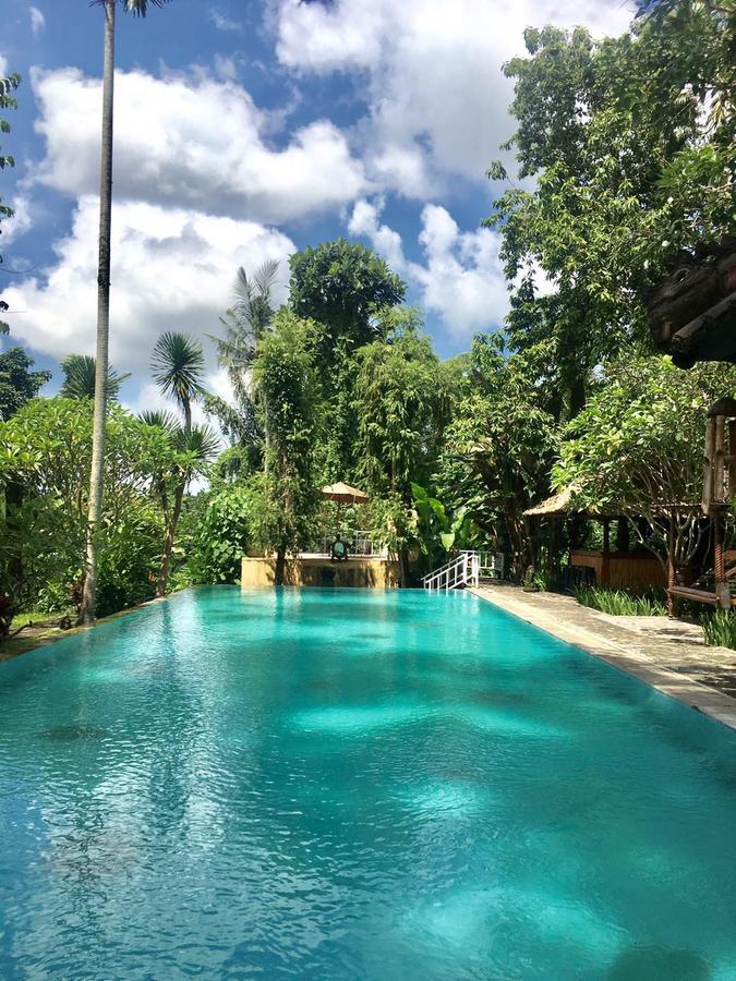 Hotel Garden