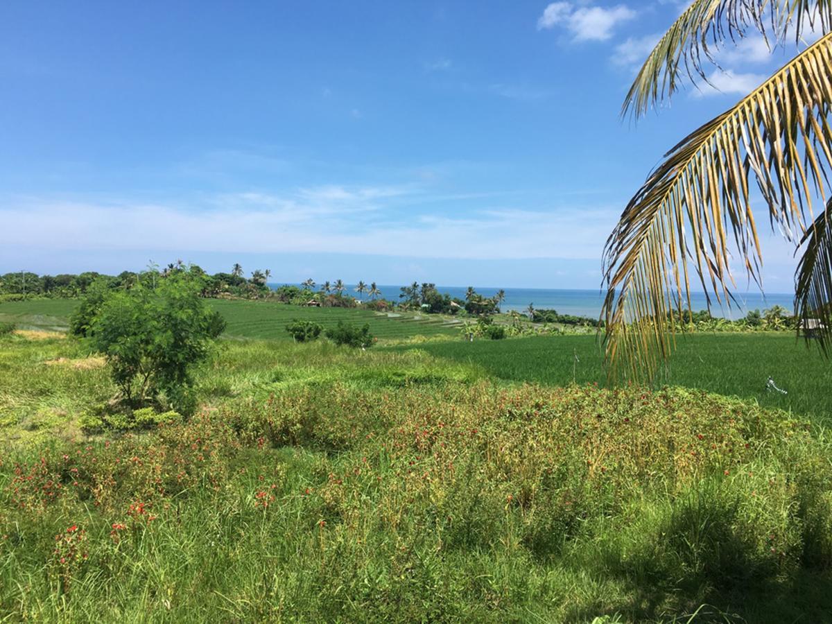 Bed & Breakfast Exotica Bali Canggu (Bali)