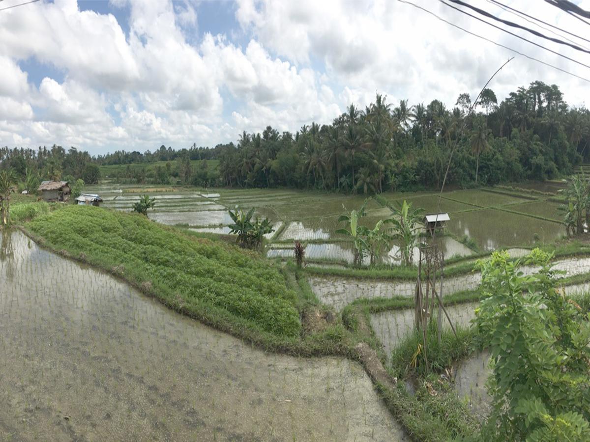 Exotica Bali Canggu (Bali)