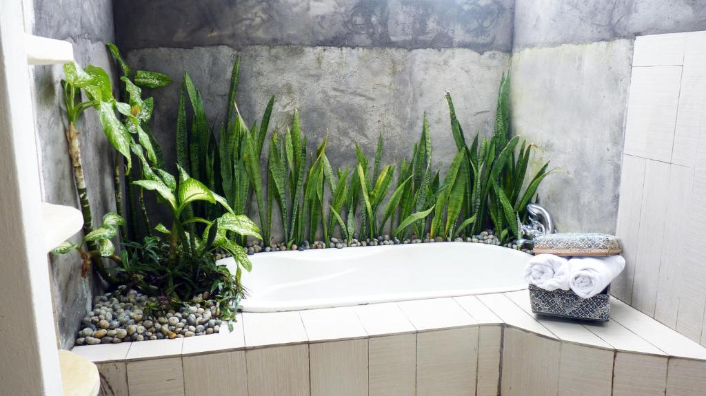 Lilin Taman liburan Lovina (Bali)