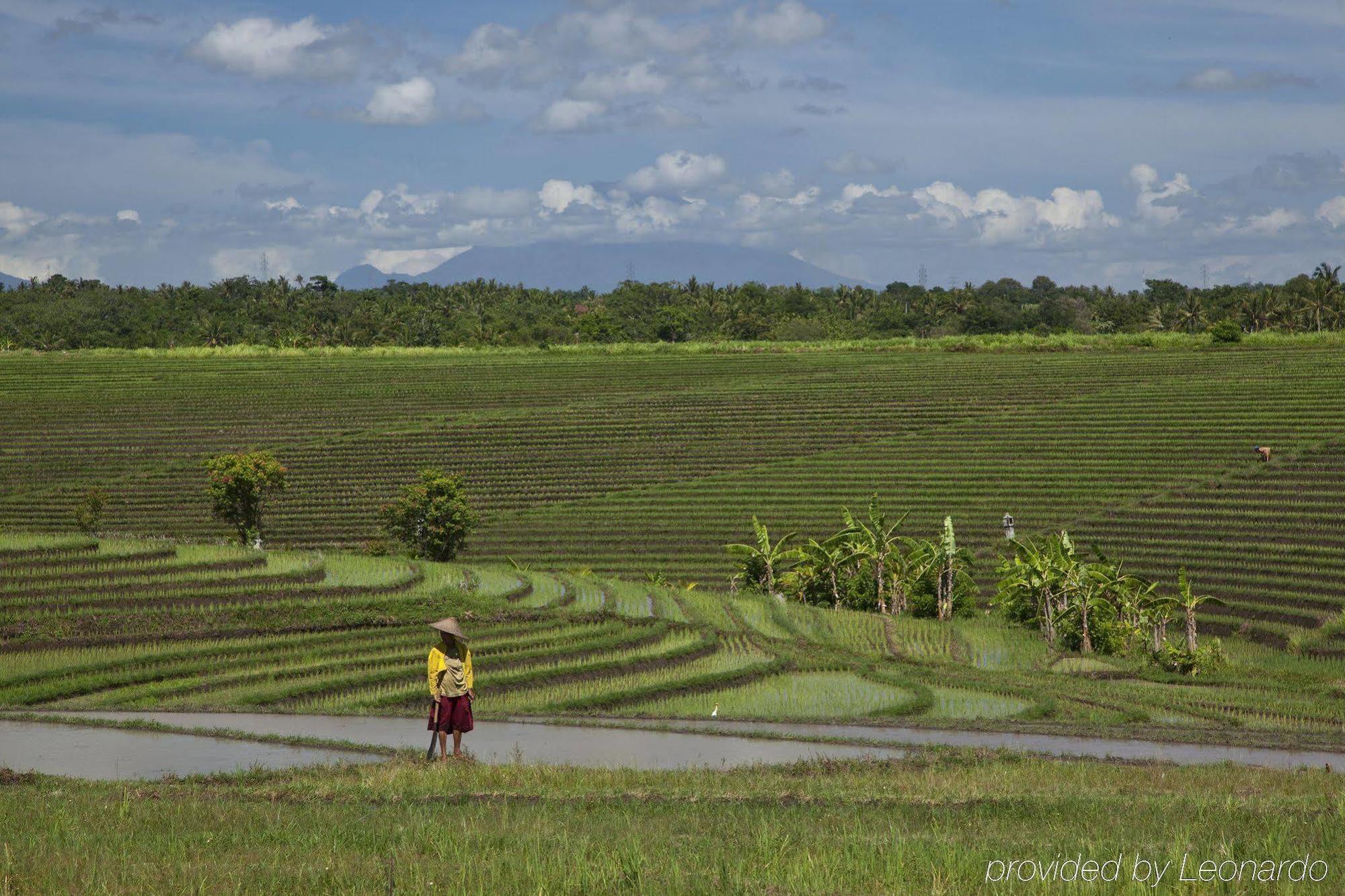 Ketapang Estate