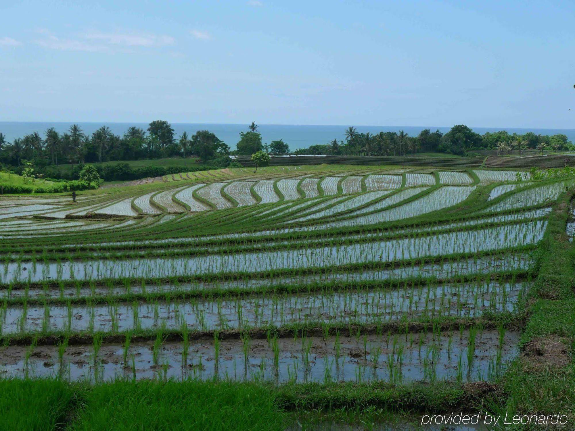 Ketapang Estate 4*