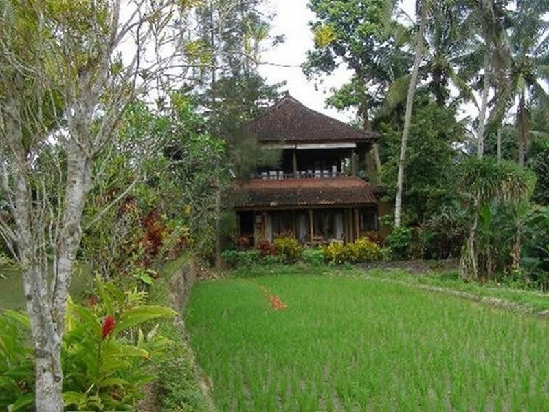 Guest house Karma Loka 4*