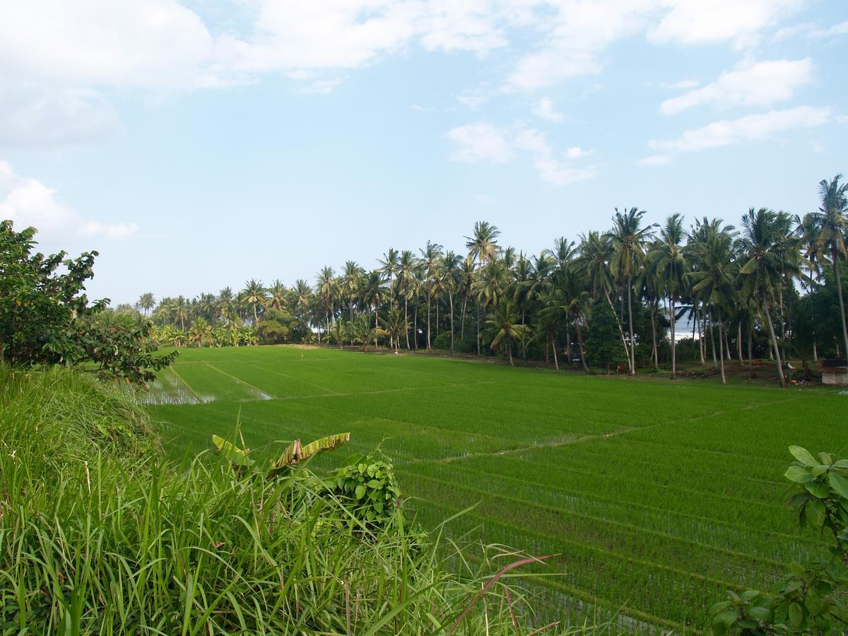 Bali Eco Matekap
