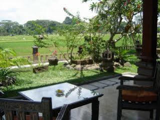 Hotel Field And Restaurant 3*