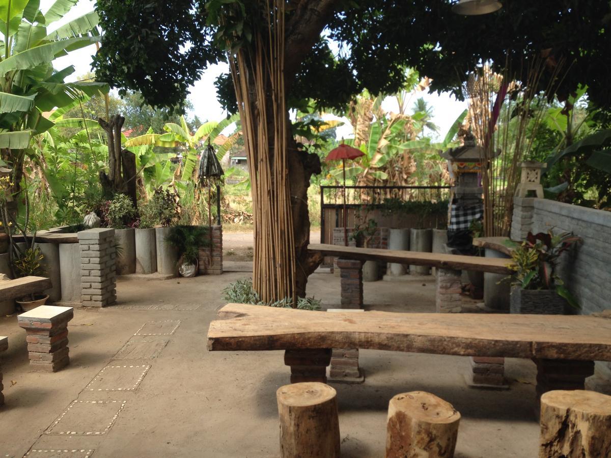 Hostel Apollo Lovina (Bali)
