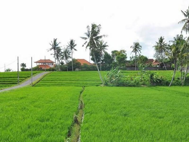 Villa Toraja *