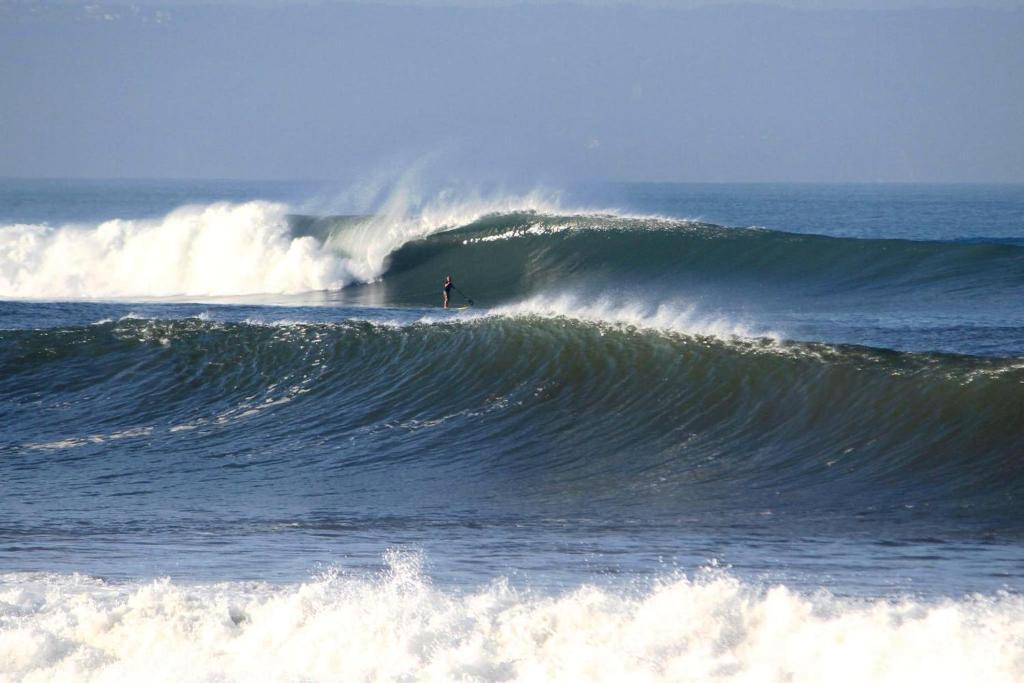 Surfer Paradise Canggu (Bali)