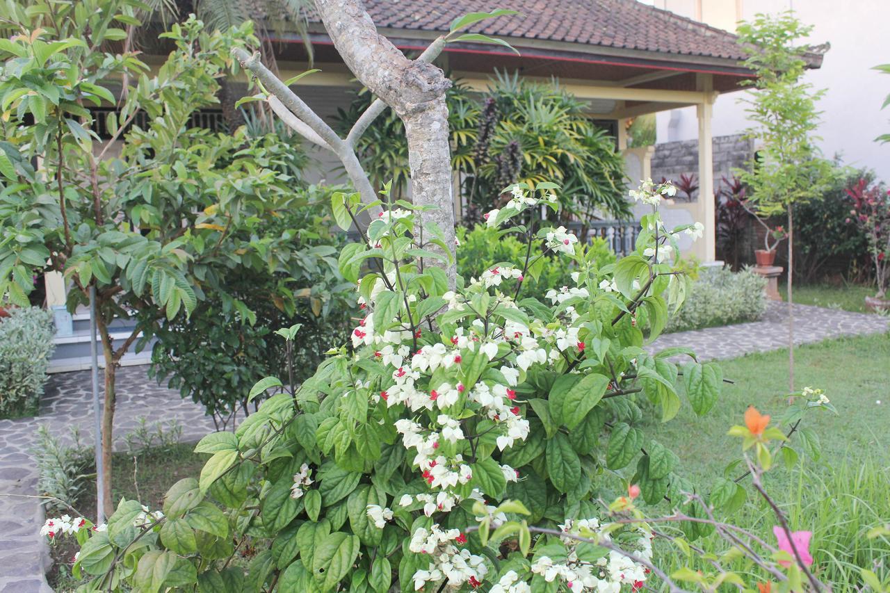 Taman Lily's