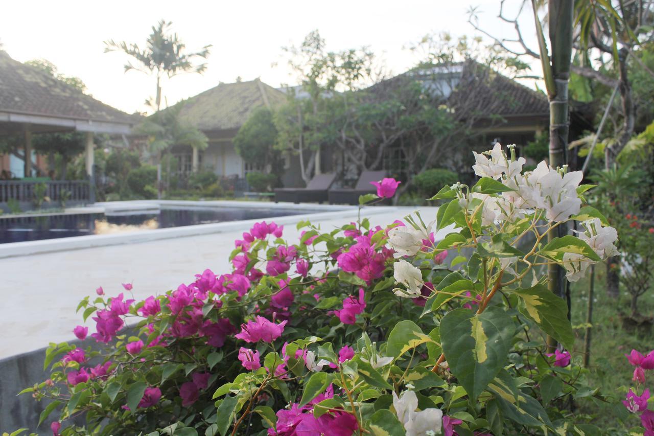 Taman Lily's Lovina (Bali)