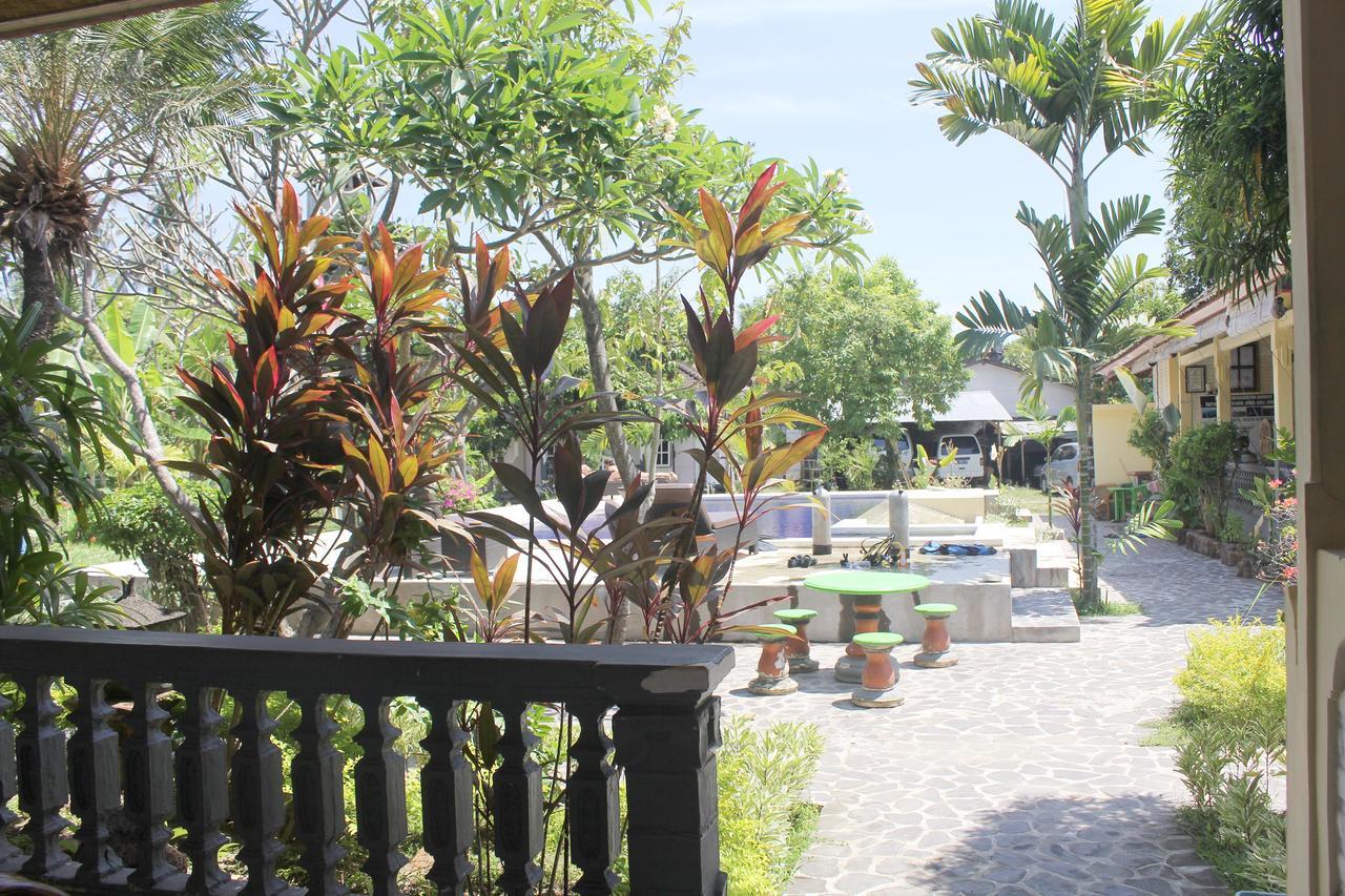 Penginapan Taman Lily's Lovina (Bali)