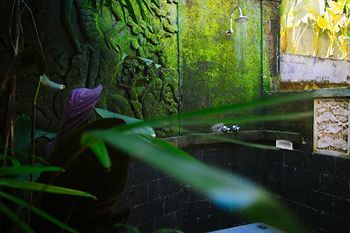 Awang Awang * Ubud (Bali)