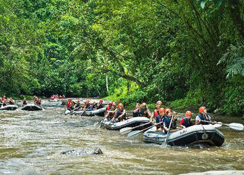 Holiday park Royal Jepun 4*