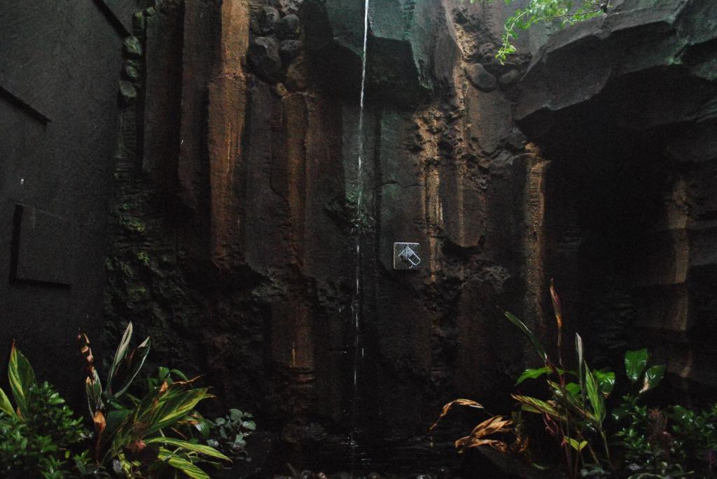 Trijaya Pemuteran (Bali)