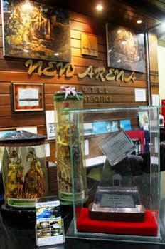 Hotel New Arena Beach 3*