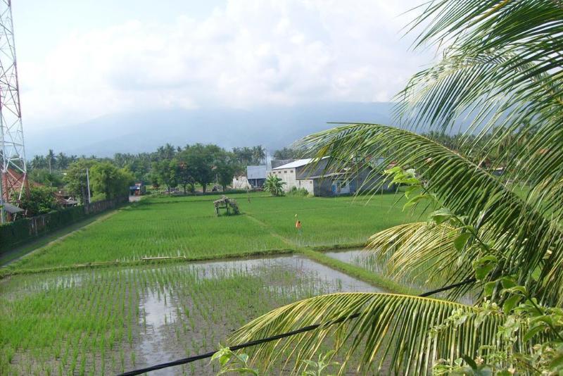 Guest house Agung 3*