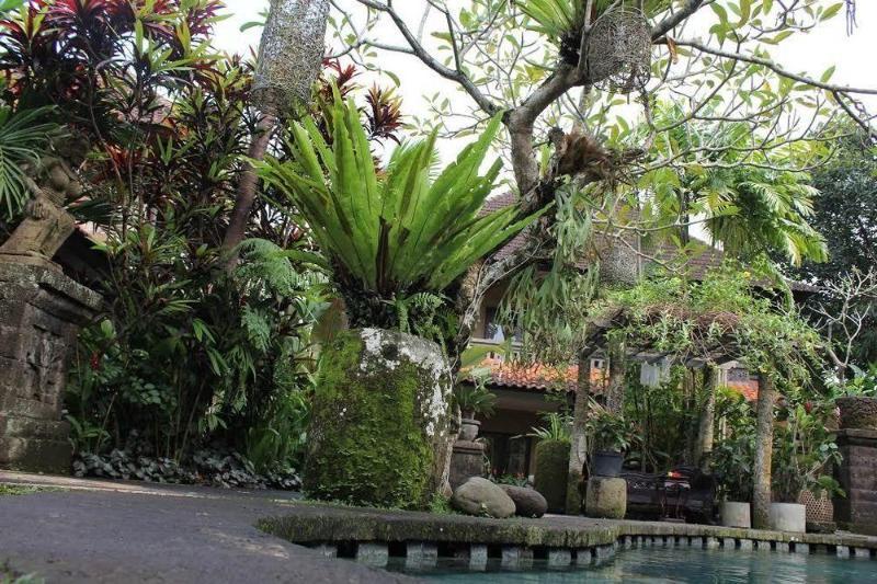 Fibra 3* Ubud (Bali)